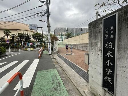 新宿区立柏木小学校 800m