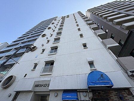 商業施設も多数点在するエリア。複数路線利用可能な立地に聳え立つマンション。