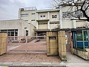 大田区立開桜小学校 450m