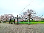 桜川公園 400m