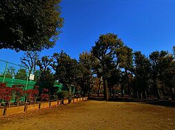 羽根木公園 500m