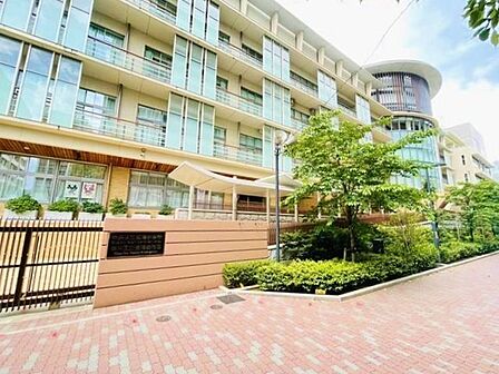 中央区立豊海小学校 550m