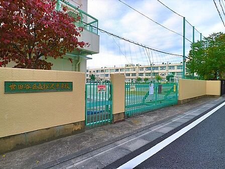 世田谷区立松沢中学校 700m