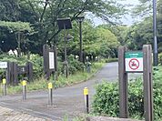 木場公園 500m