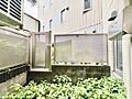 さまざまな表情...