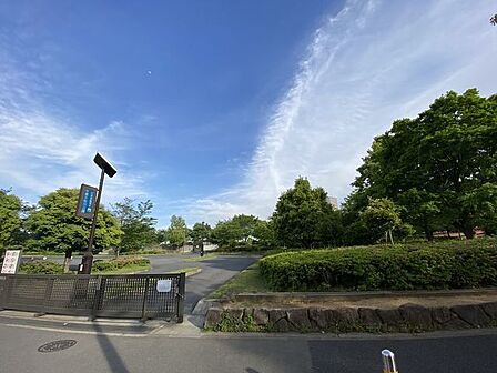 大島小松川公園 550m