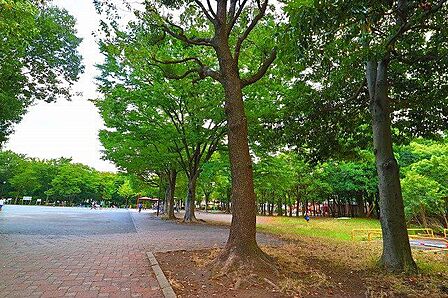 橘公園 190m