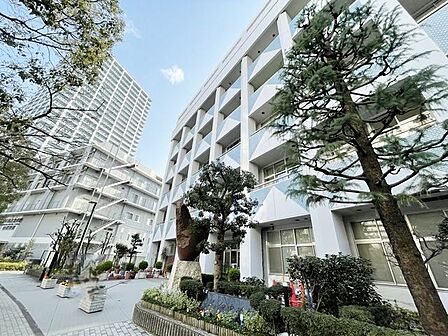 中央区立佃中学校 550m