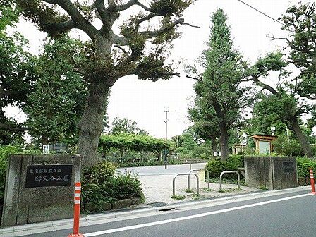 碑文谷公園 600m