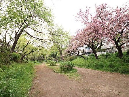 玉川上水永泉寺緑地 250m