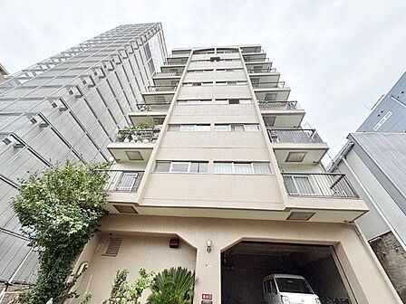 商業施設も多数点在するエリア。複数路線利用可能な立地に聳え立つマンション。