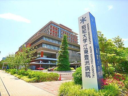 昭和大学江東豊洲病院 1100m