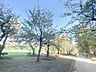 周辺：錦糸公園 1300m