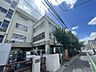 周辺：墨田区立中和小学校 720m