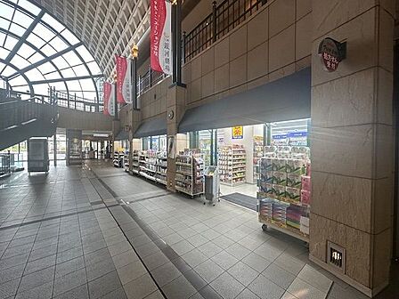 マツモトキヨシ天王洲アイル店 1100m