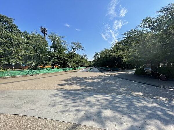 周辺を拡大表示
