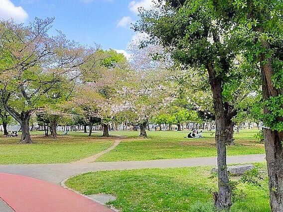 三ツ和公園 徒...