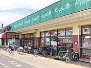 コモディイイダ芝原店 徒歩8分。 610m