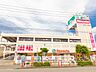 周辺：島忠新座店 徒歩10分。 800m