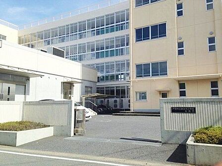 戸田市立美女木小学校 徒歩18分。 1390m