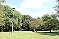 大宮公園 徒歩...