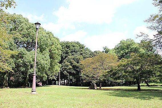 大宮公園 徒歩...