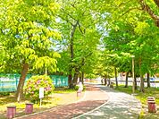 青木町公園 徒歩10分。 800m