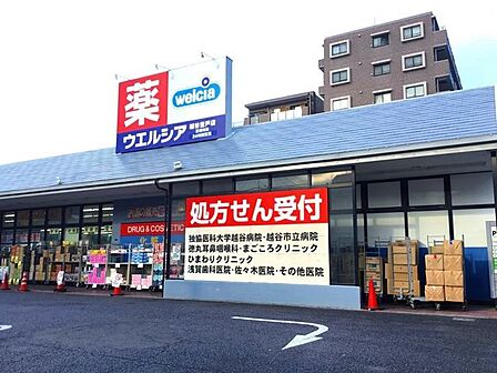 ウエルシア越谷登戸店 徒歩8分。 580m