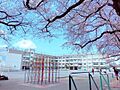 板橋区立中根橋...