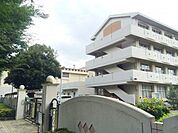 さいたま市立常盤北小学校 徒歩4分。 290m