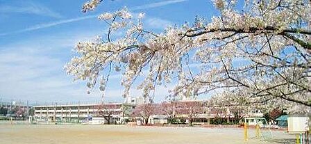練馬区立大泉学園桜中学校 徒歩3分。 220m