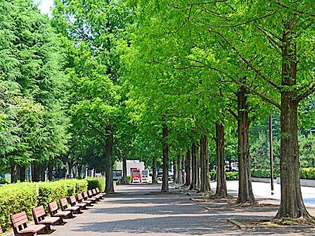 朝霞中央公園 徒歩11分。 850m