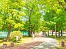 周辺：青木町公園 徒歩10分。 800m