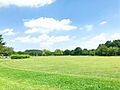 大宮第三公園 ...