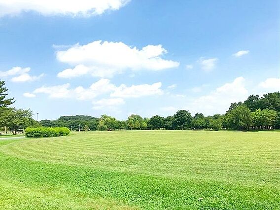 大宮第三公園 ...