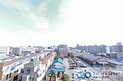 アデニウム和光