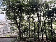 ベランダからの緑ある景色が魅力。日々の暮らしに安らぎを与えてくれます。