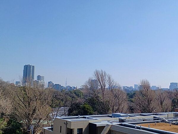 和室を拡大表示
