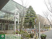 中央図書館 450m