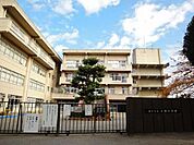 大橋小学校 80m