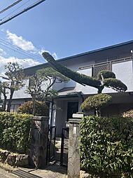 堺市北野田