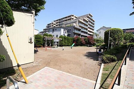 かしわ公園1 徒歩1分。 19m