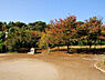 周辺：宮前美しの森公園：260ｍ（徒歩4分）