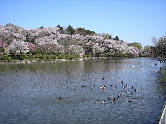 三ツ池公園まで...