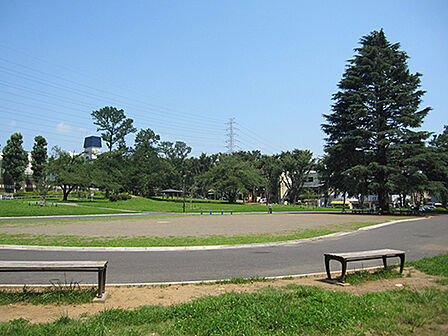 美しが丘公園:400m(徒歩5分)