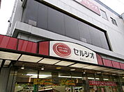 スーパーマーケットセルシオ和田町店まで215m（徒歩3分）