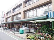 コモディイイダ 東新町店（320m）