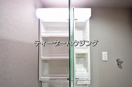 二面鏡の裏には収納がたっぷり。洗面室をすっきりきれいに使えます 