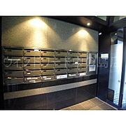 詳細は、ウィンドワード中の島店までご相談下さい。