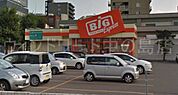 ザ・ビッグエクスプレス平岸店 3059m
